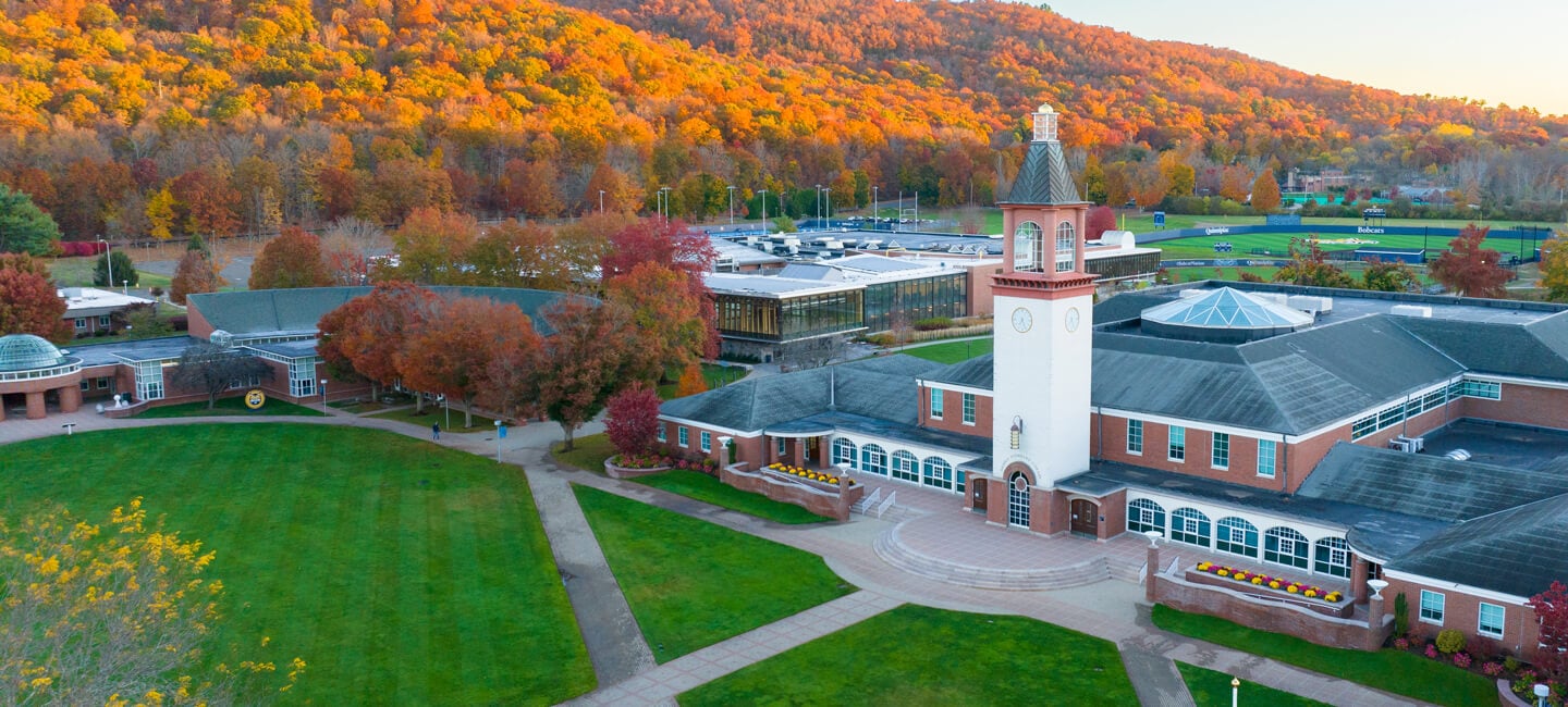 Aerial view of Mount Carmel Campus quad and library on a fall day